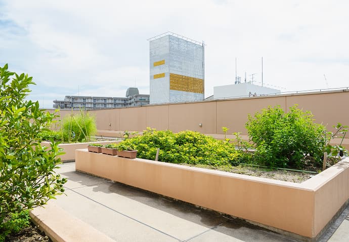 サービスの写真